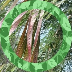 Meet your Posher, Antonio